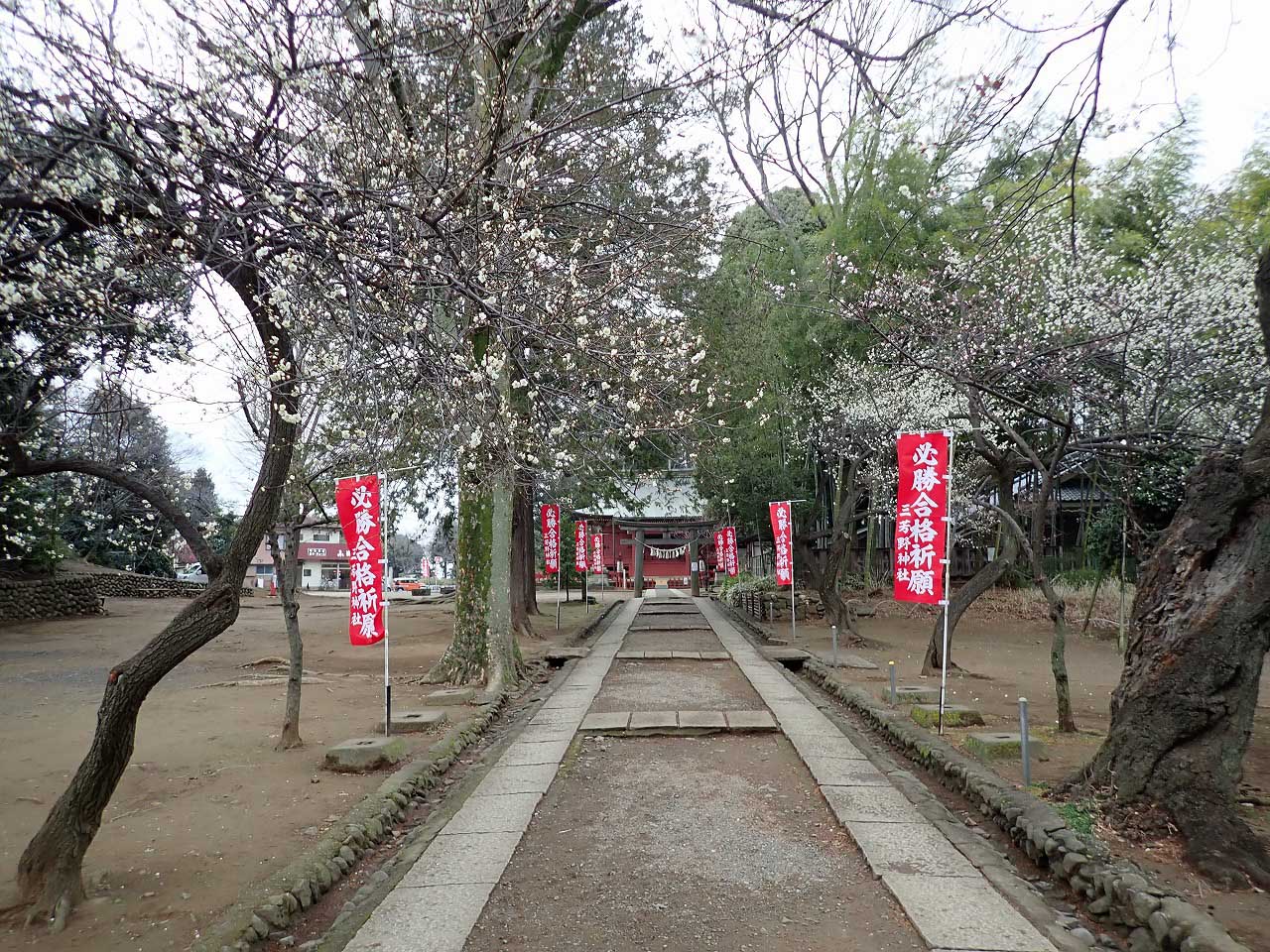 美しい梅を楽しめる川越市の三芳野神社