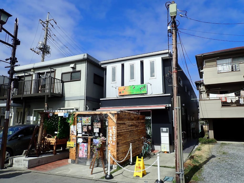 キンカジューとふれあえるお店『Bamboo Palm（バンブーパーム）2号店』