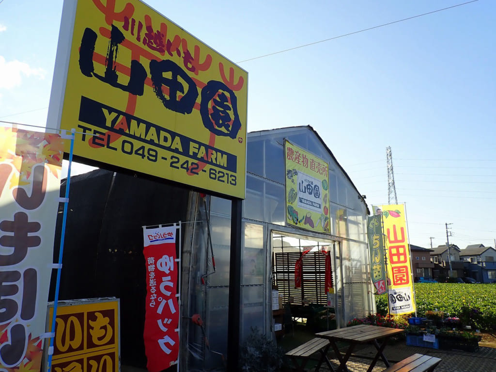 芋掘りを楽しめる『川越いも山田園』