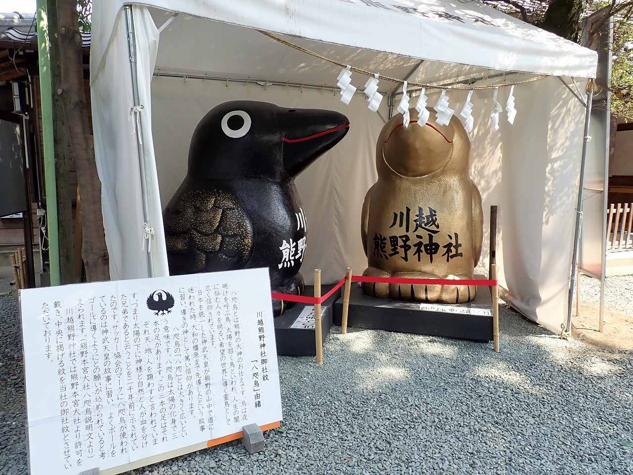 川越の人気の神社「川越熊野神社」