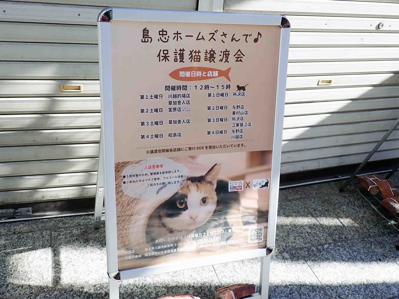 クレアモールで営業している『保護猫カフェねこかつ 川越店』