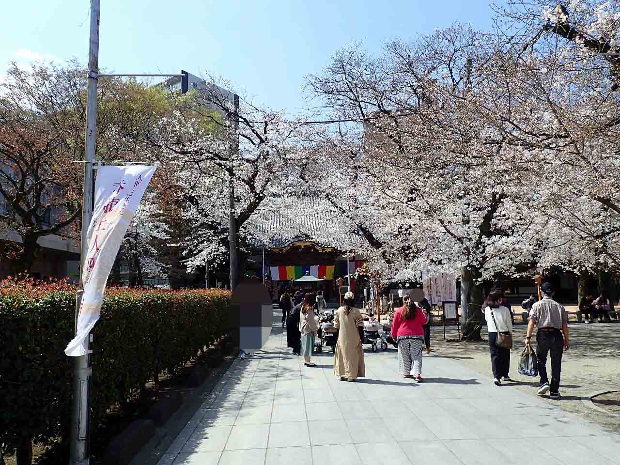2023年3月に開催の「小江戸と桜と和のワインFesta」
