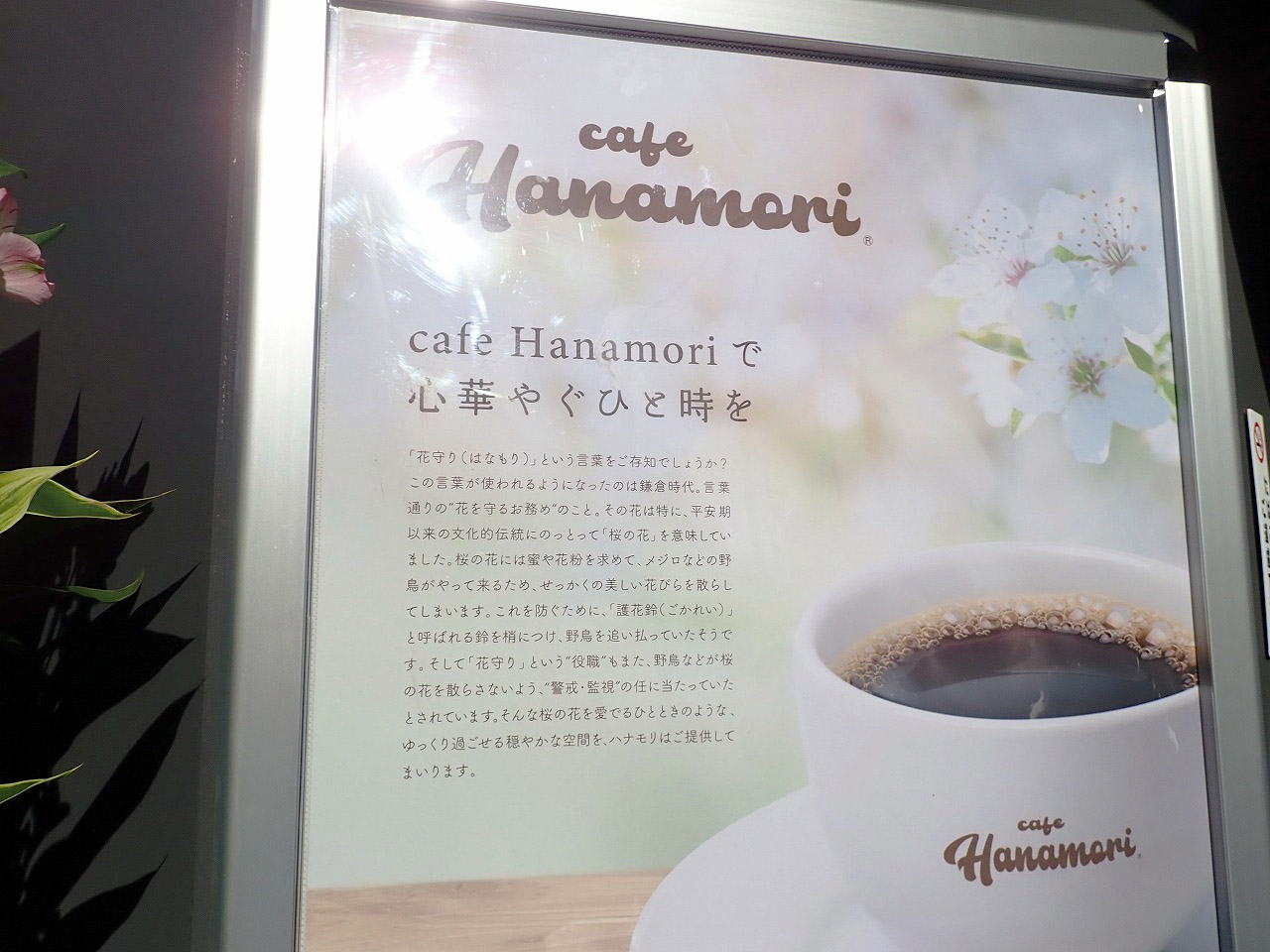 2024年1月にオープンの『cafe Hanamori 川越店』