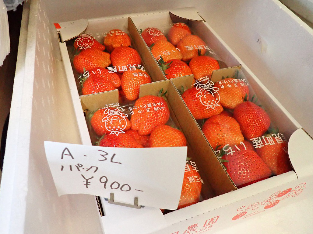 川越市】駄菓子屋さんで、とても大きな埼玉県産イチゴを購入できます 