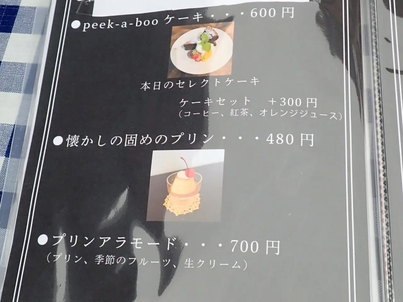 2025年5月にオープンのドッグラン＆カフェ『bambina』