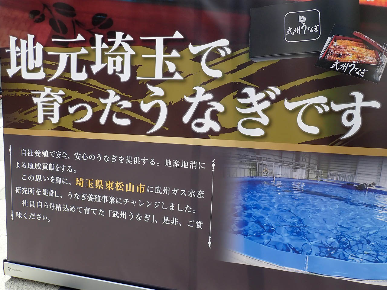 埼玉産のうなぎである「武州うなぎ」の直売会