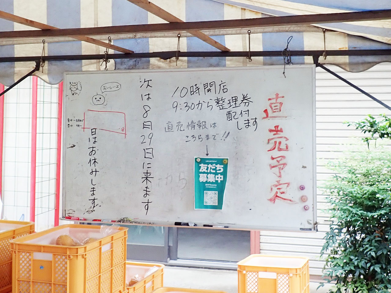 川越の美味しい梨の直売所「梓澤梨園」