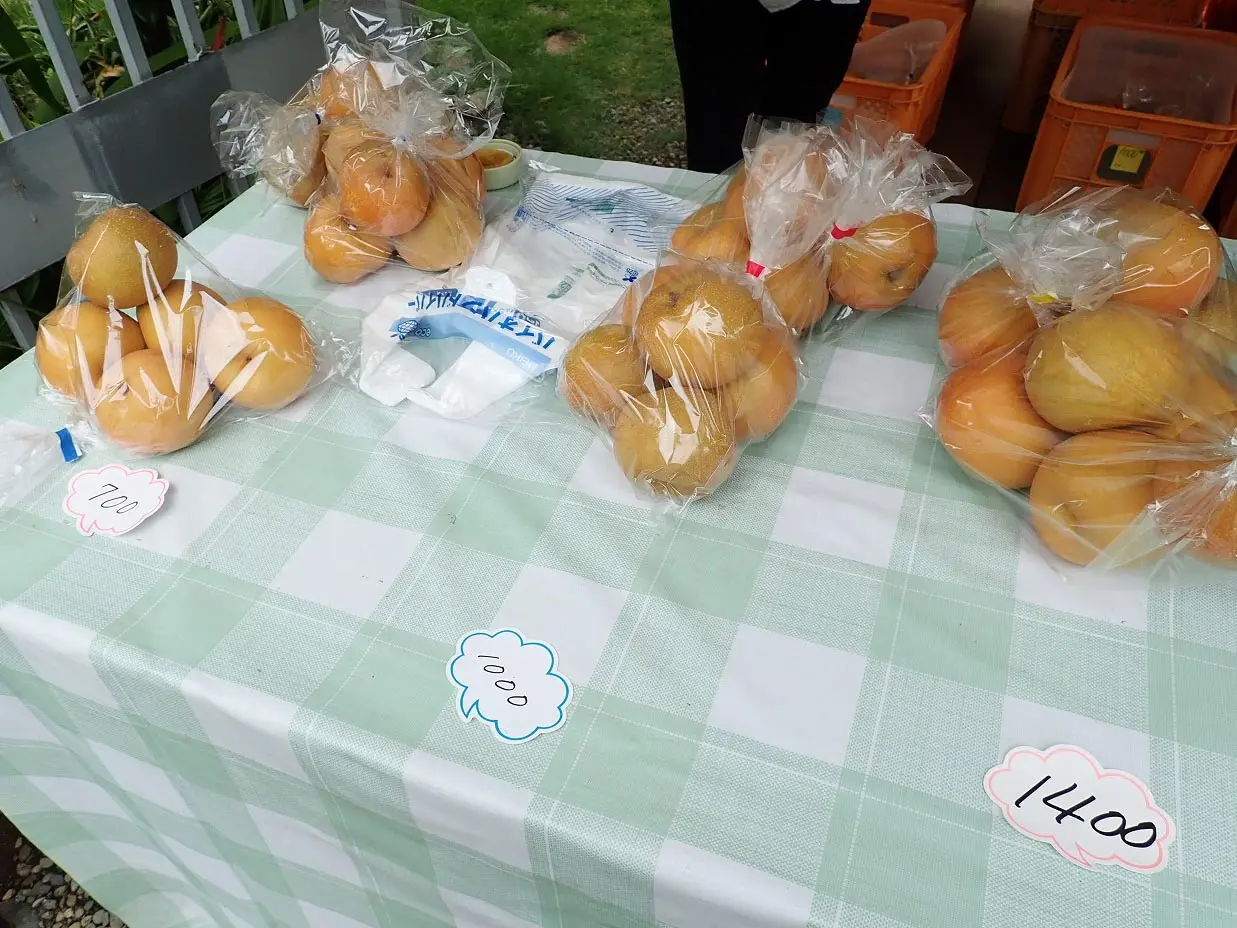 川越の美味しい梨の直売所「梓澤梨園」