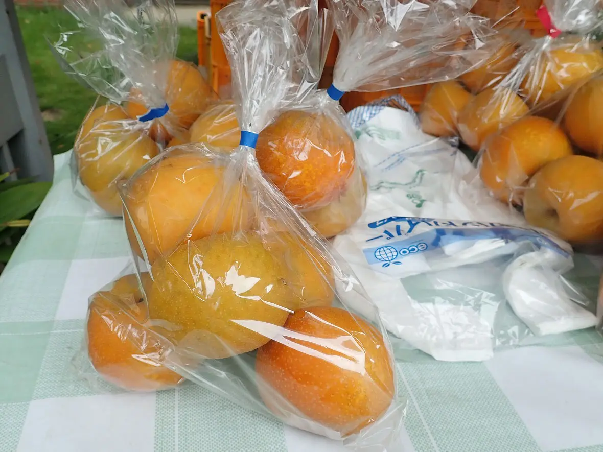 川越の美味しい梨の直売所「梓澤梨園」
