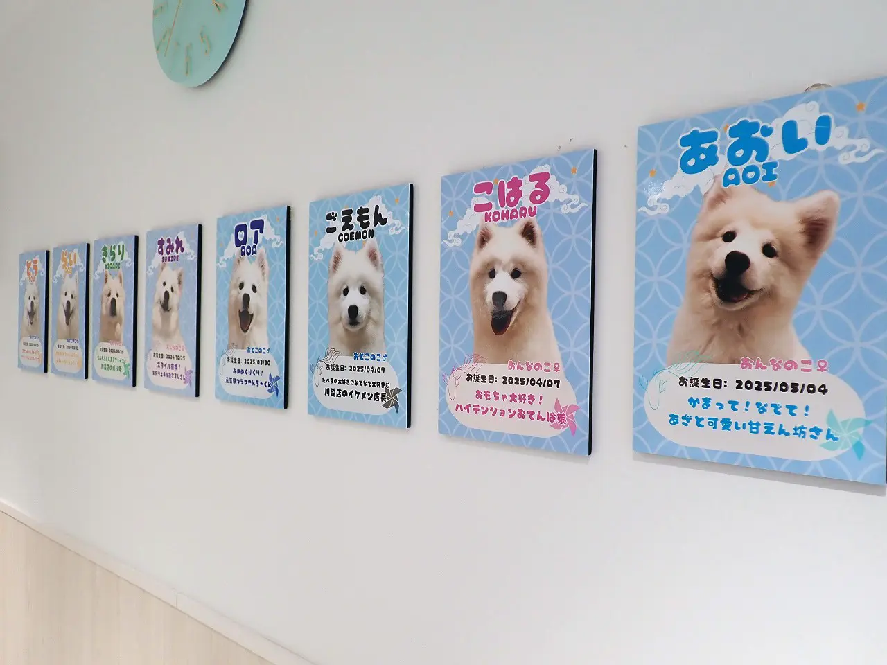 2025年8月にオープンの『サモエドカフェアル 川越店』