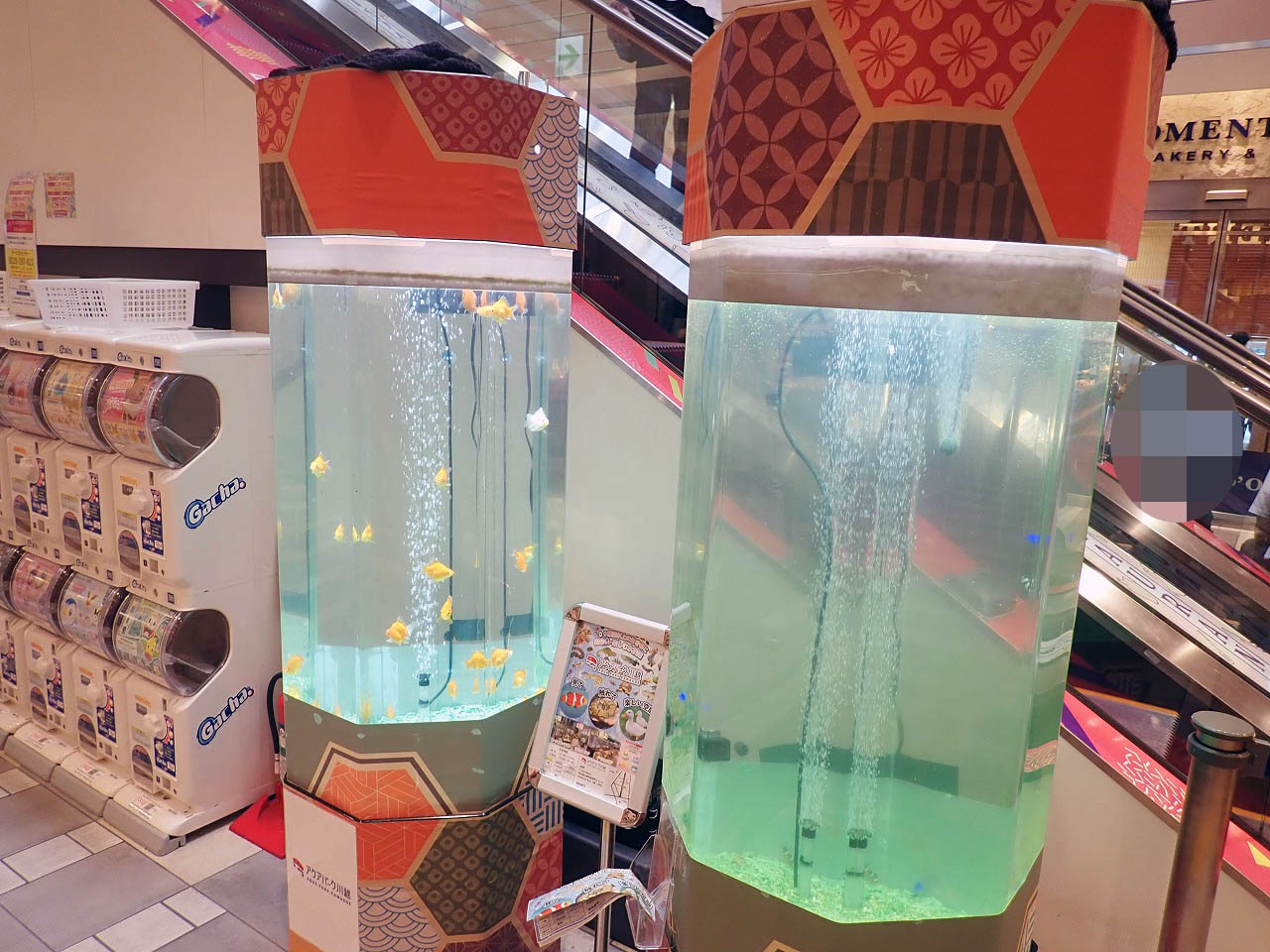 2025年8月に閉店の「鶏白湯 らーめん日高 エキア川越店」