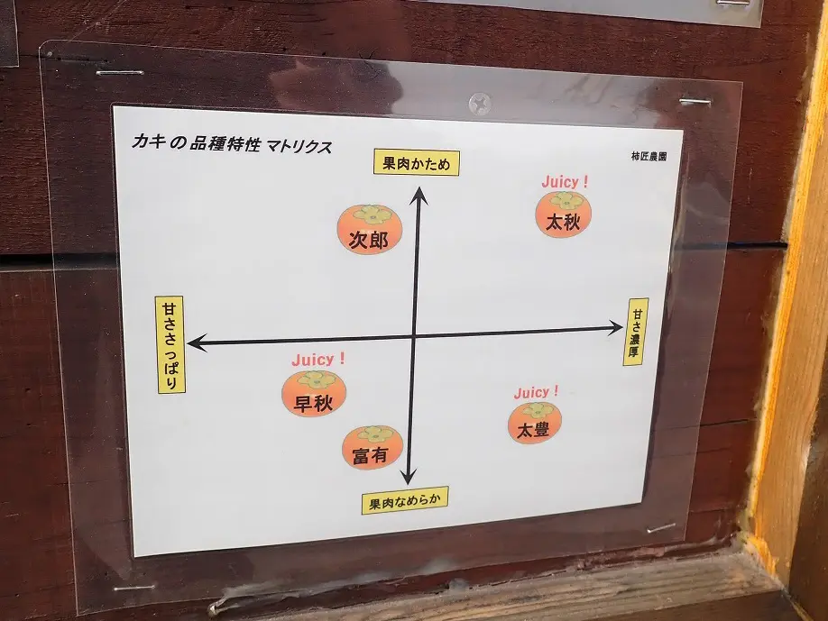 川越の人気の柿の産地直売農園『柿匠農園』
