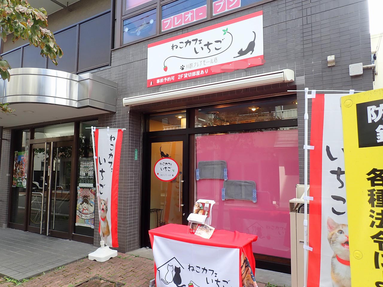 2025年10月にオープンの『ねこカフェいちご 川越クレアモール店』