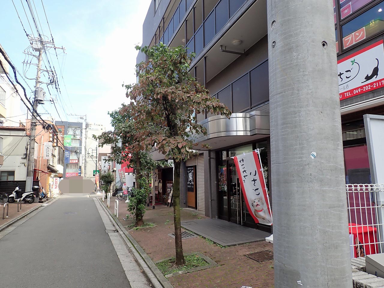 2025年10月にオープンの『ねこカフェいちご 川越クレアモール店』