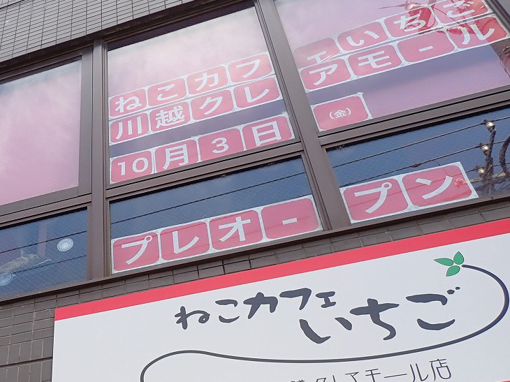 2025年10月にオープンの『ねこカフェいちご 川越クレアモール店』