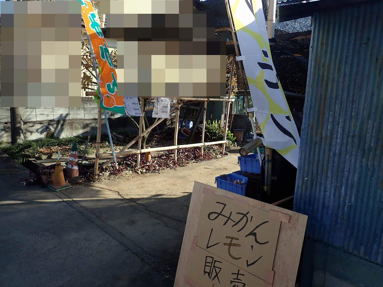 川越産のレモンの販売所