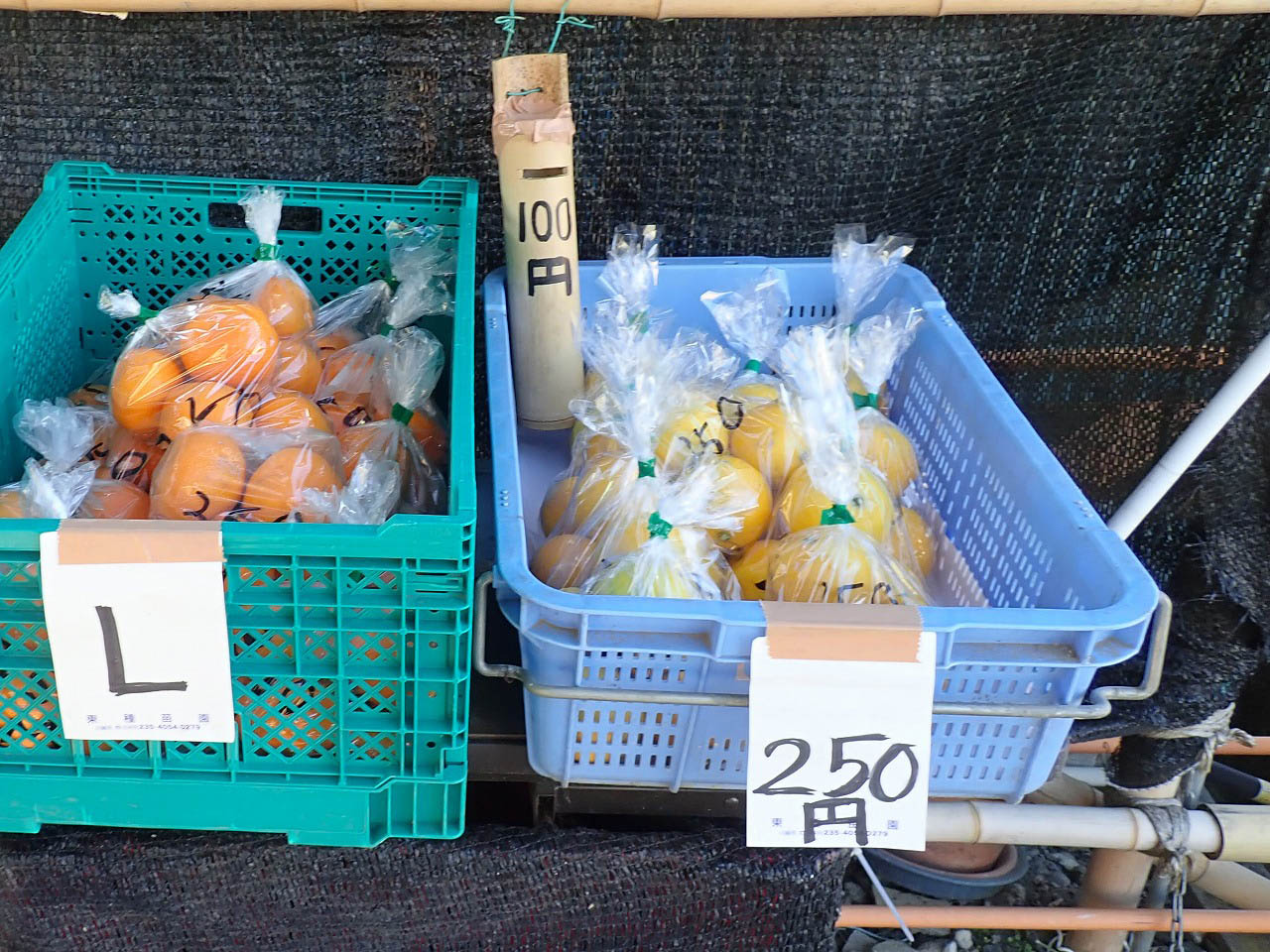 川越産のレモンの販売所