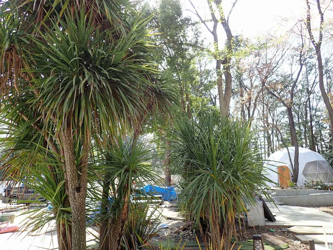 『THE GLAMTERRACE 〜ザ・グランテラス』