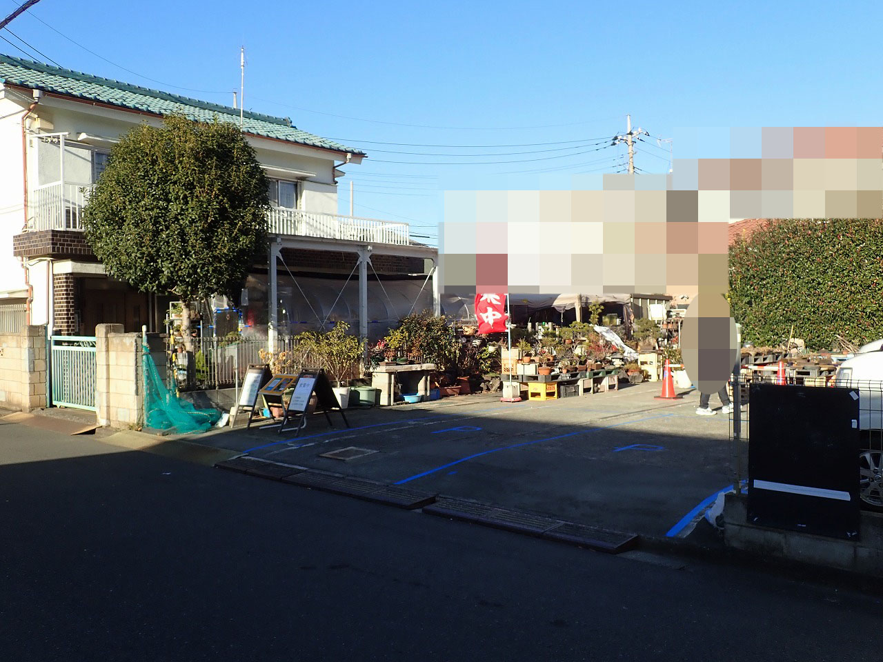 『じゅん散歩』で紹介された川越のコケとメダカのお店『グリーンモス石井』