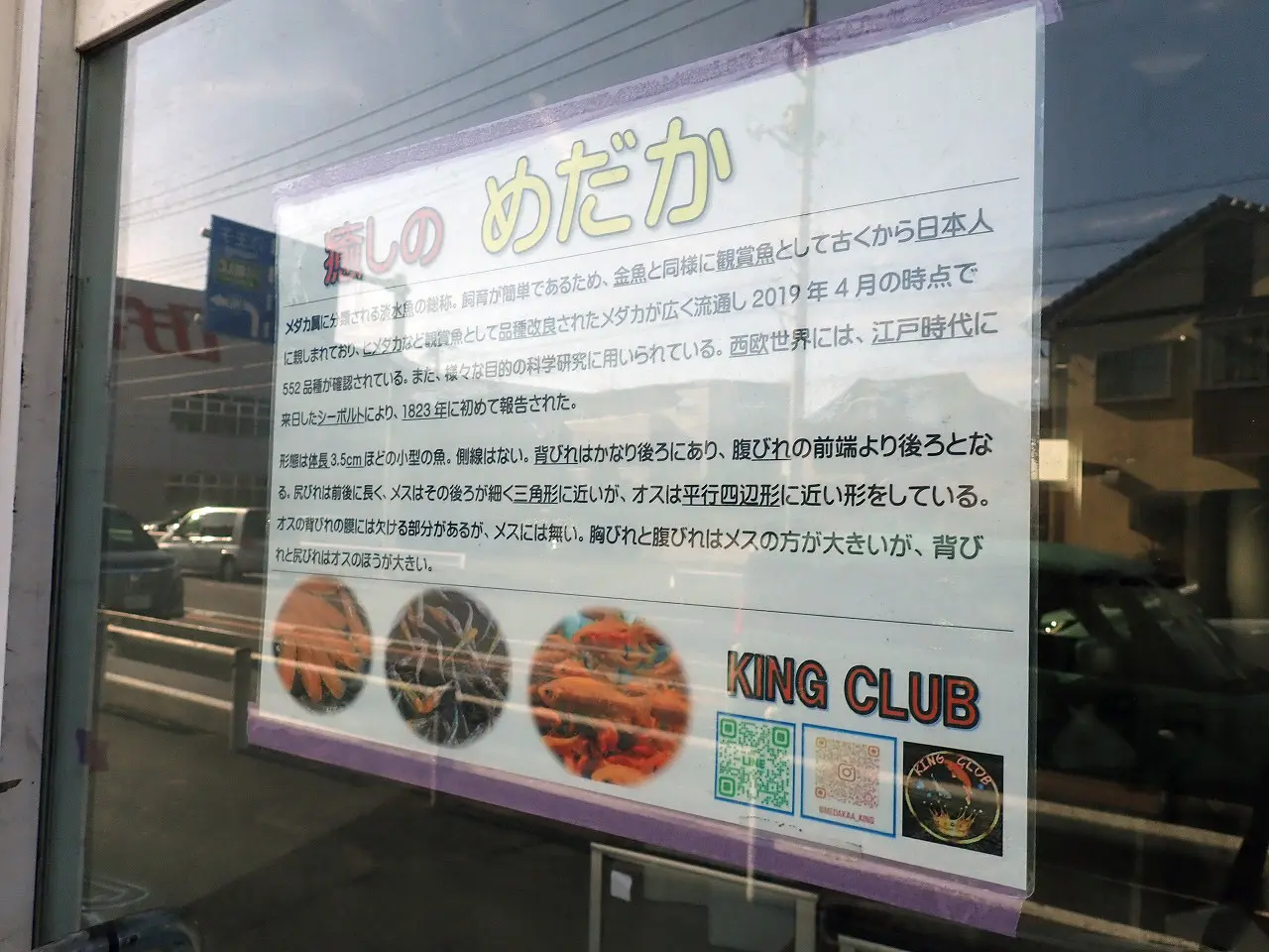 2026年1月中旬の川越内のお店の変化