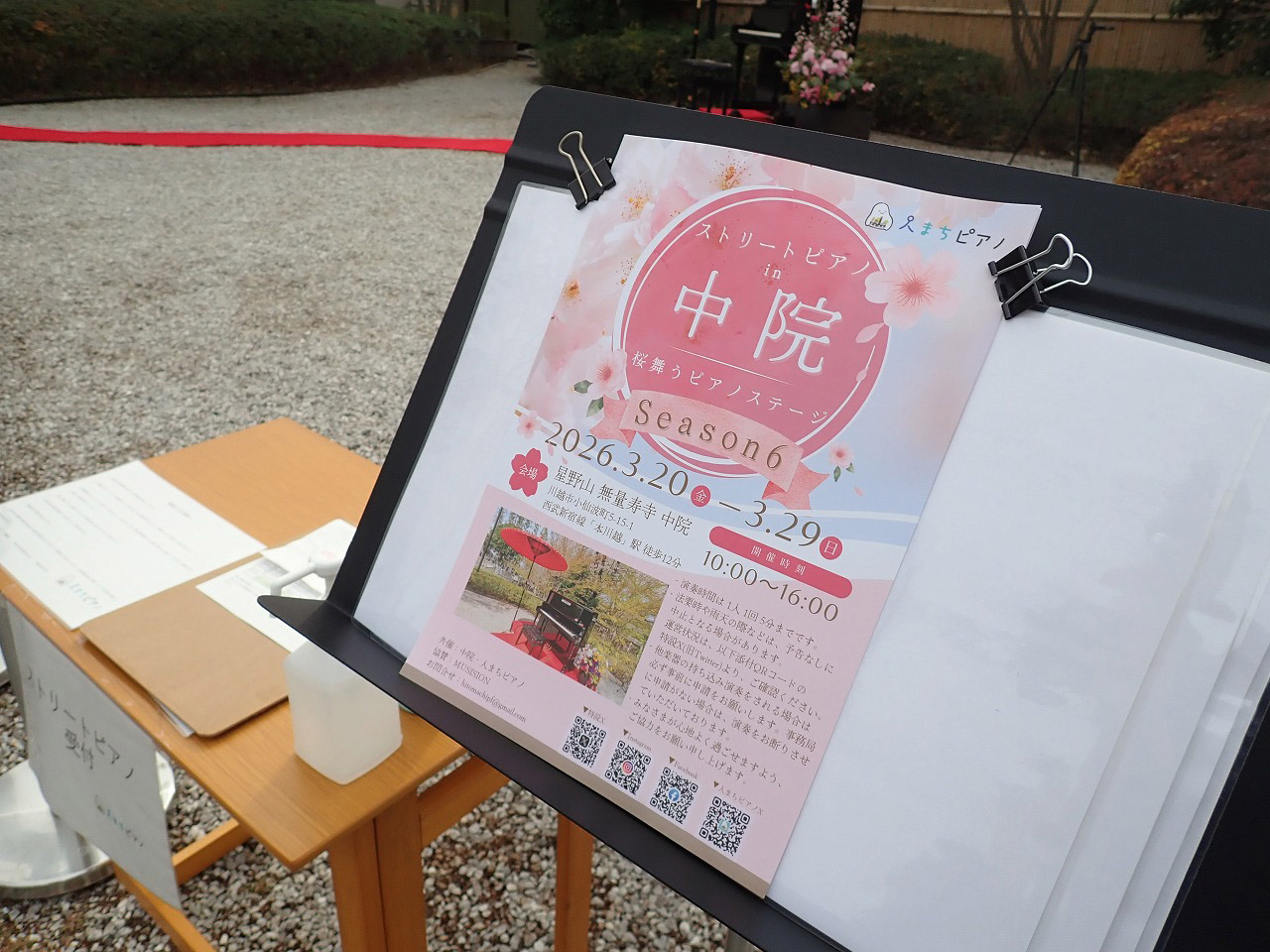 2026年の川越の桜の開花状況