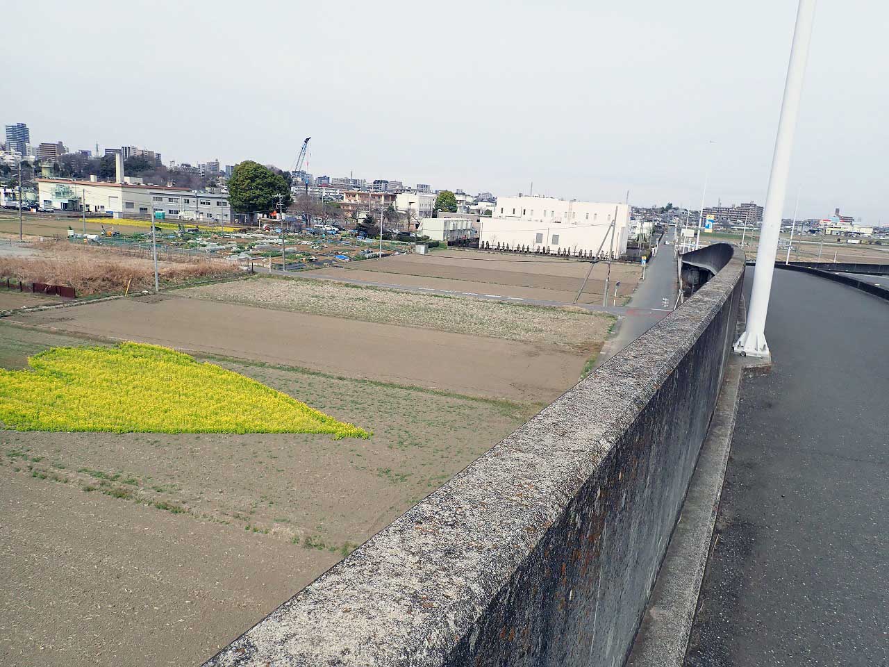 2026年3月中旬の川越市内の情報