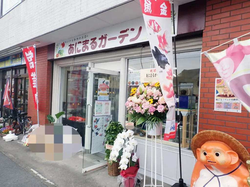 2026年4月にオープンの川越のペットショップ『あにまるガーデン』