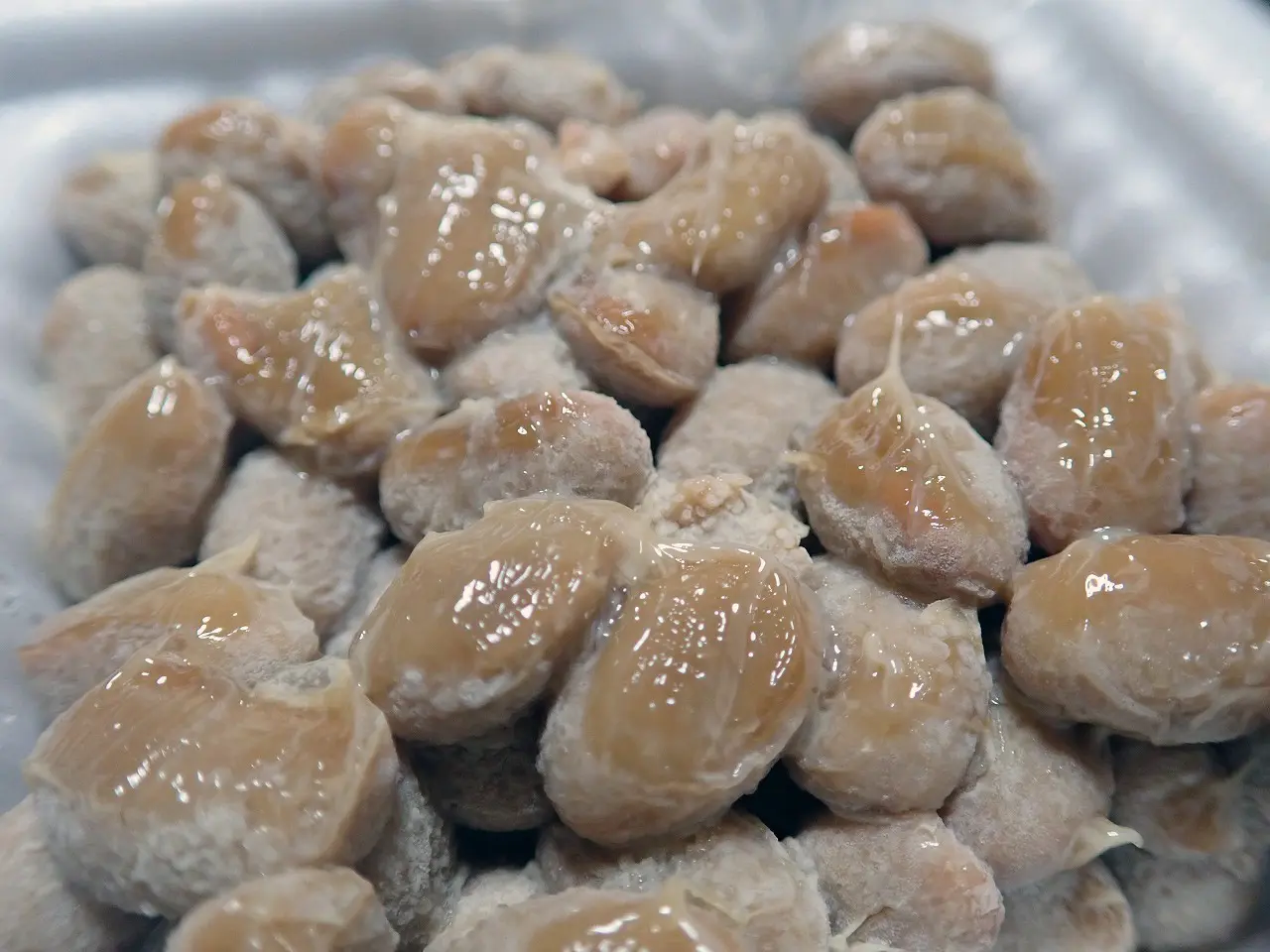 川越の納豆の製造所『渡辺食品製造所』