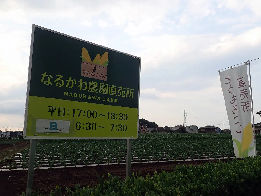 川越の美味しいとうもろこしの農園『なるかわ農園』