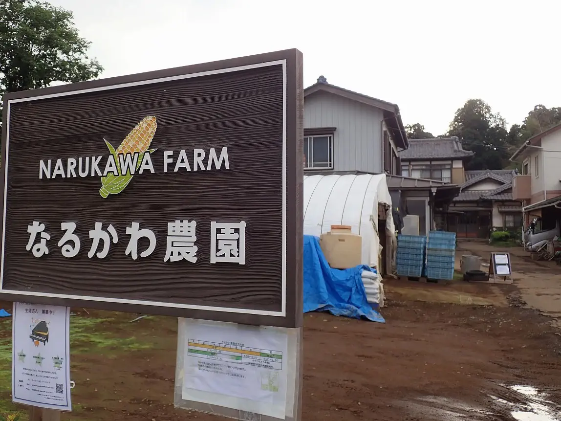 川越の美味しいとうもろこしの農園『なるかわ農園』
