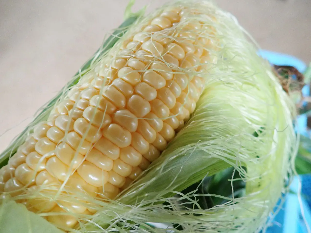 川越の美味しいとうもろこしの農園『なるかわ農園』