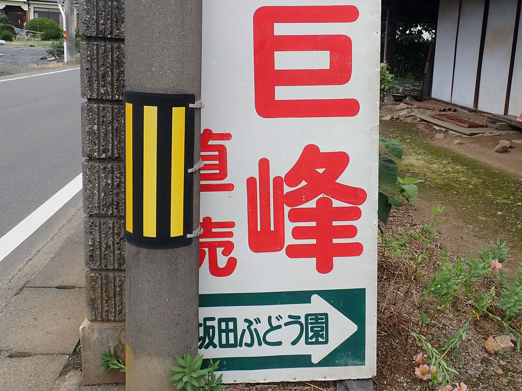 川越の美味しいぶどう農園『坂田ぶどう園』