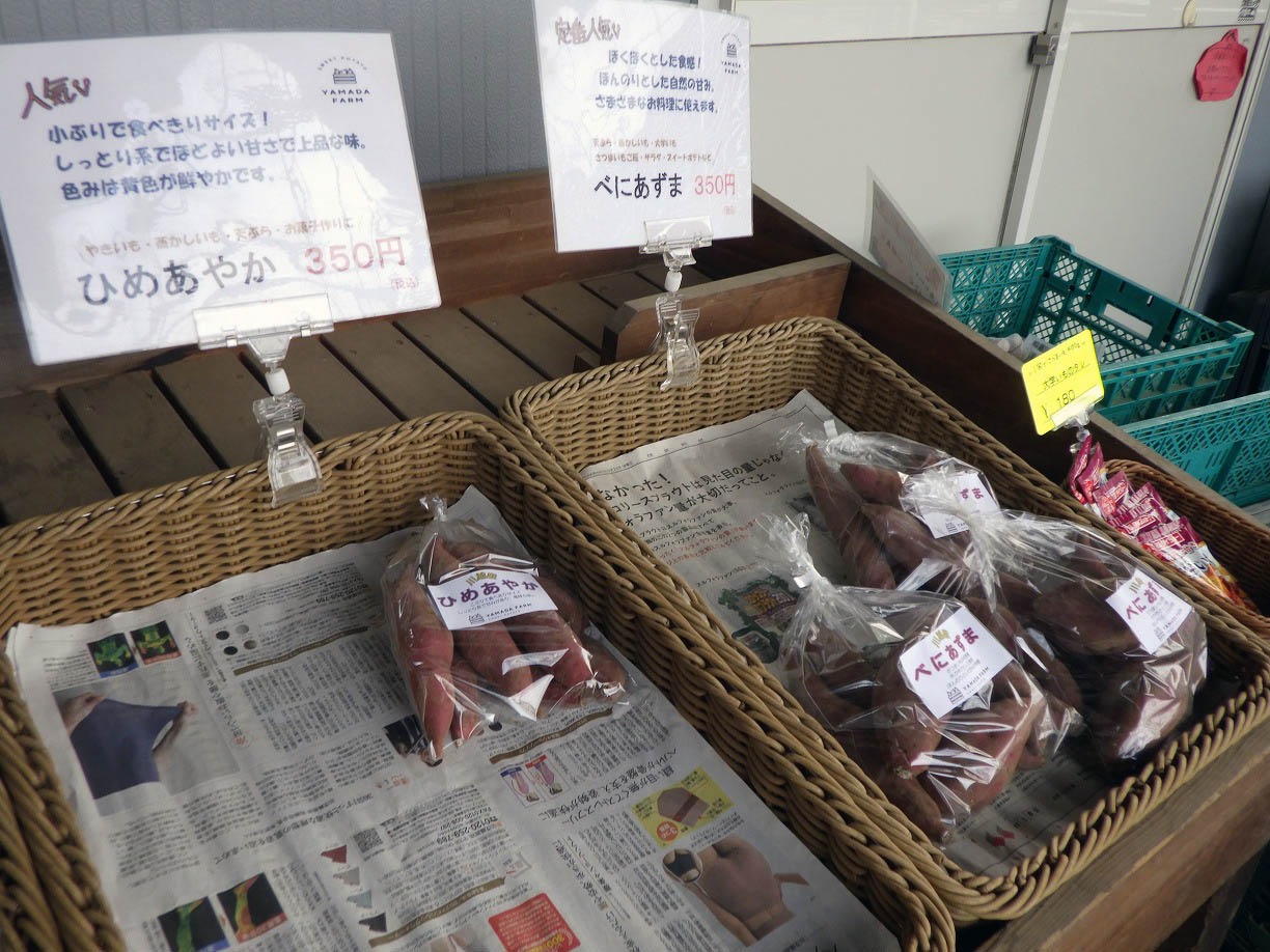 川越のさつまいも農園『川越いも 山田園』
